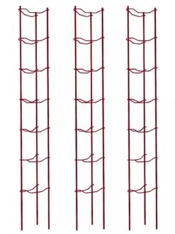 Tomato Ladders, Set Of 3 -Outdoor Garden Care 38185 002E psd