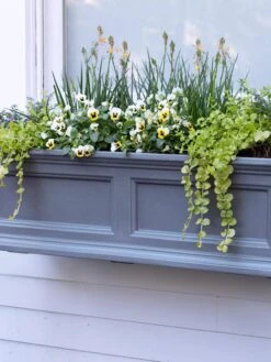 Fairfield Self-Watering Window Box, 3’ -Outdoor Garden Care 39 344 9360 tif