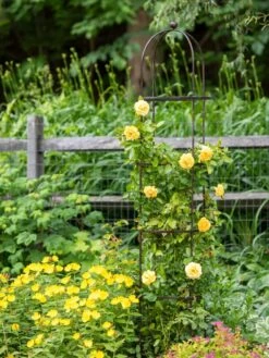 Jardin Round Obelisk, 7' -Outdoor Garden Care 39 530 1668 tif