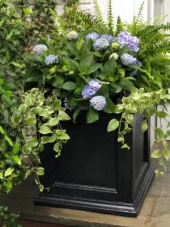 Fairfield Self-Watering Square Planter, 20” X 20” -Outdoor Garden Care 39 618 205V tif