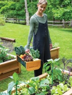 Garden Hods -Outdoor Garden Care 39 761 0146 tif