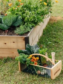 Garden Hods -Outdoor Garden Care 39 761 572 tif