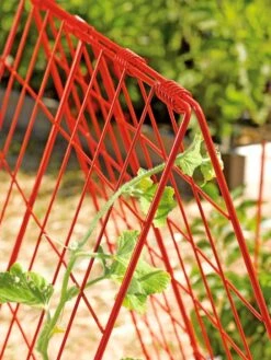 Deluxe Cucumber Trellis -Outdoor Garden Care 39806 542 tif