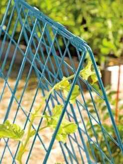 Deluxe Cucumber Trellis -Outdoor Garden Care 39806 BLUE 100 tif