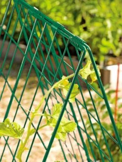 Deluxe Cucumber Trellis -Outdoor Garden Care 39806 GR edit tif