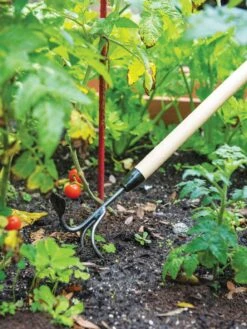 Gardener's Lifetime Long-Handled Double Tool -Outdoor Garden Care 3 4 crop 8592107 2460 tif