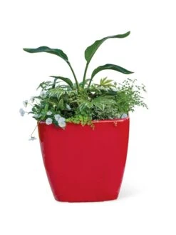 Viva Square Self-Watering Rolling Planter, 20" Diameter, Set Of 2 -Outdoor Garden Care 3 4 crop 8612930 0037 tif