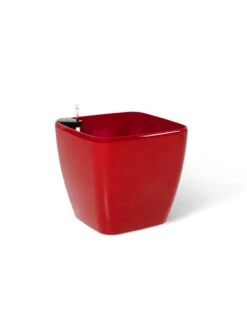 Viva Square Self-Watering Rolling Planter, 20" Diameter, Set Of 2 -Outdoor Garden Care 3 4 crop 8612930 0105
