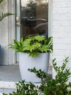 Viva Round Self-Watering Rolling Planter, 20" Diameter, Set Of 2 -Outdoor Garden Care 3 4 crop 8612933 0025 tif