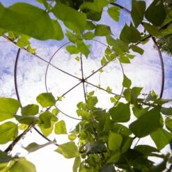 Jardin Tower -Outdoor Garden Care 3 4 crop 8612997 0033