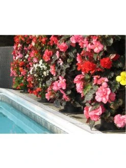 Flower Tower -Outdoor Garden Care 3 4 crop 8613624 03V