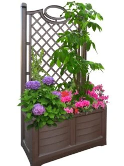 Separate Flower Box With Trellis -Outdoor Garden Care 3 4 crop 8613626 04V