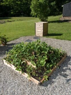 3-Tier Strawberry Bed -Outdoor Garden Care 8586752 2341 tif
