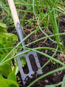 Gardener's Lifetime Spork -Outdoor Garden Care 8586973 2383 tif