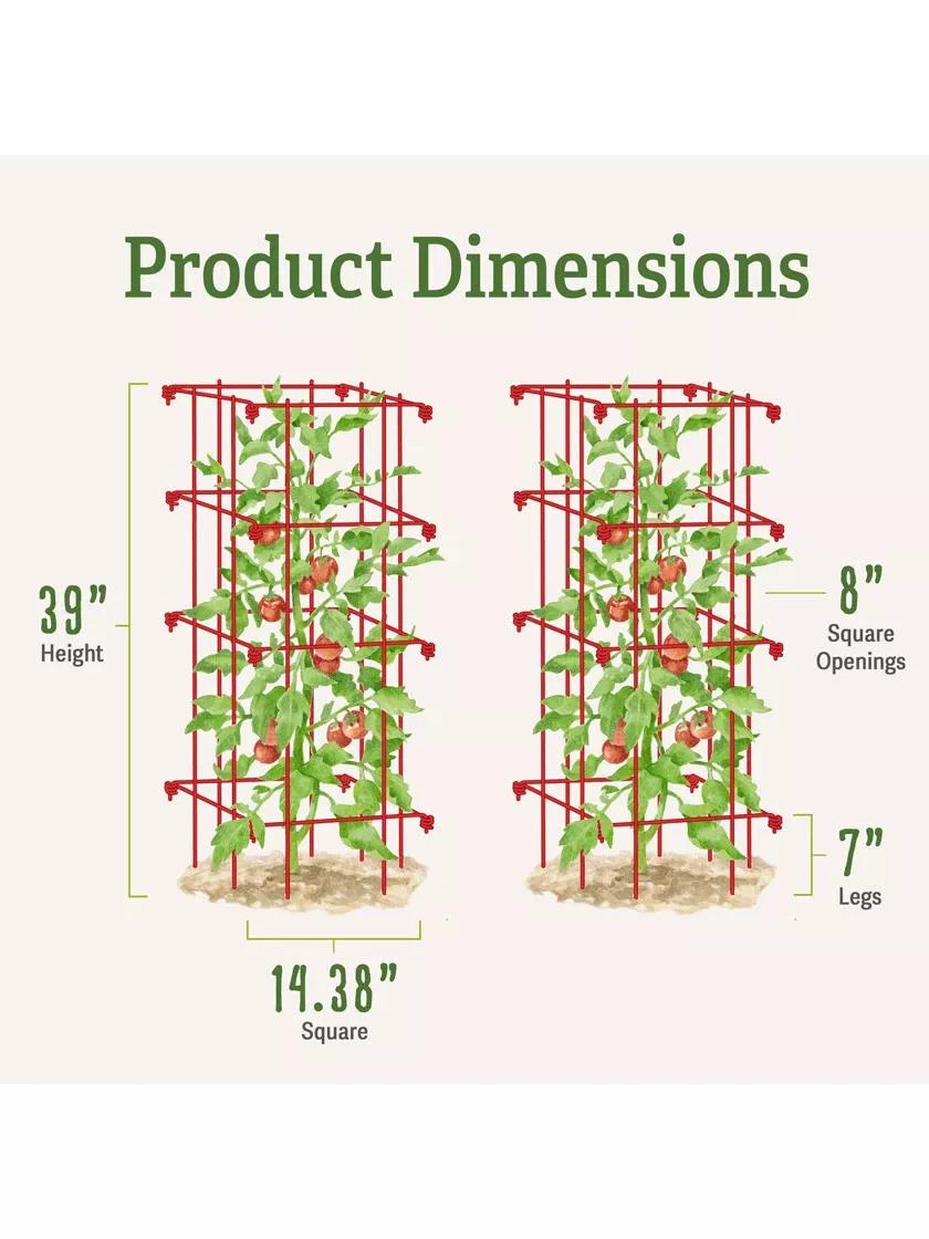 Tomato Cages, Set Of 4 8 Tomato Cages, Set Of 4 - Image 6