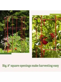 Tomato Cages, Set Of 4 15 Tomato Cages, Set Of 4 -Outdoor Garden Care 8587040 2
