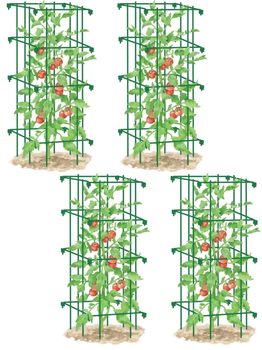 Tomato Cages, Set Of 4 7 Tomato Cages, Set Of 4 - Image 5
