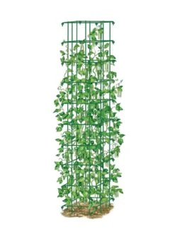 Bean Tower 13 Bean Tower -Outdoor Garden Care 8587060 0008 GRN tif
