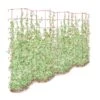 Tall Expandable Pea Trellis -Outdoor Garden Care 8587062 0001 RED tall expandable pea trelis tif