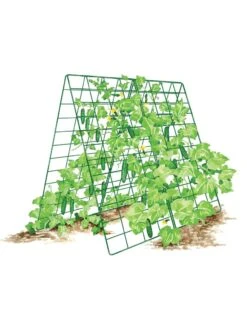 Deluxe Cucumber Trellis -Outdoor Garden Care 8587083 001 GRN tif