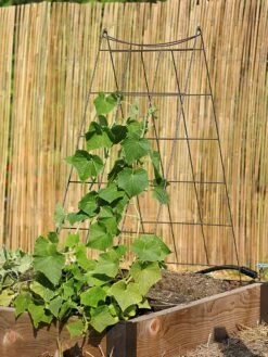 Wire A-Frame Trellis