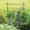 Jardin Ladder Trellis 2 Jardin Ladder Trellis -Outdoor Garden Care 8587107 1651 tif