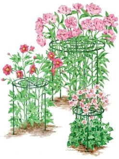 Grow Through Supports, Set Of 3