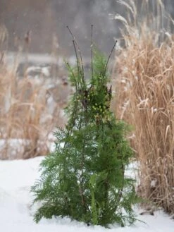 Jardin Pot Trellis -Outdoor Garden Care 8587120 009 tif