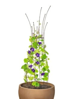 Jardin Pot Trellis -Outdoor Garden Care 8587120 1006 tif