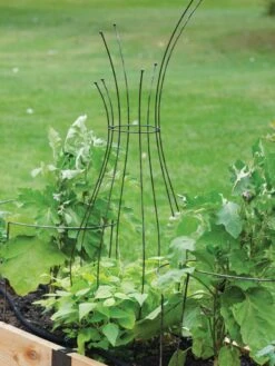 Jardin Pot Trellis -Outdoor Garden Care 8587120 7037 tif