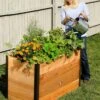 Elevated Raised Bed, 2' X 4' -Outdoor Garden Care 8587822 675 tif