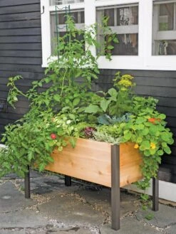 Elevated Planter Box, 2' X 4'