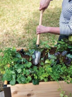 Gardener's Lifetime Raised Bed Trowel -Outdoor Garden Care 8588014 4084 tif