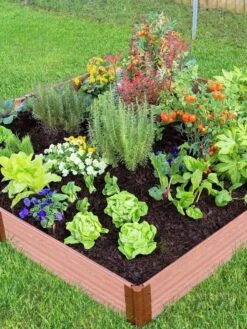 Composite Raised Bed With 1" Boards, 11" 24 Composite Raised Bed With 1" Boards, 11" -Outdoor Garden Care 8588274 03V tif