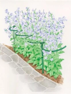 Tidy Path Supports 7 Tidy Path Supports -Outdoor Garden Care 8588403 003 1