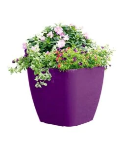 Viva Square Self-Watering Rolling Planter, 17.5" Diameter -Outdoor Garden Care 8589778PR 6126 tif