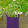 Gardener's Best® Potato Grow Bag -Outdoor Garden Care 8589785PR 4191 potato grow bags with handles tif