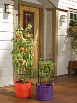 Gardener's Best® Tomato Grow Bag Set -Outdoor Garden Care 8590013 170 tif