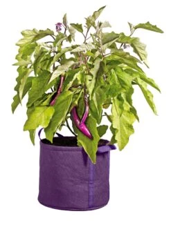 Gardener's Best® Universal Grow Bag -Outdoor Garden Care 8590024PR 214 tif