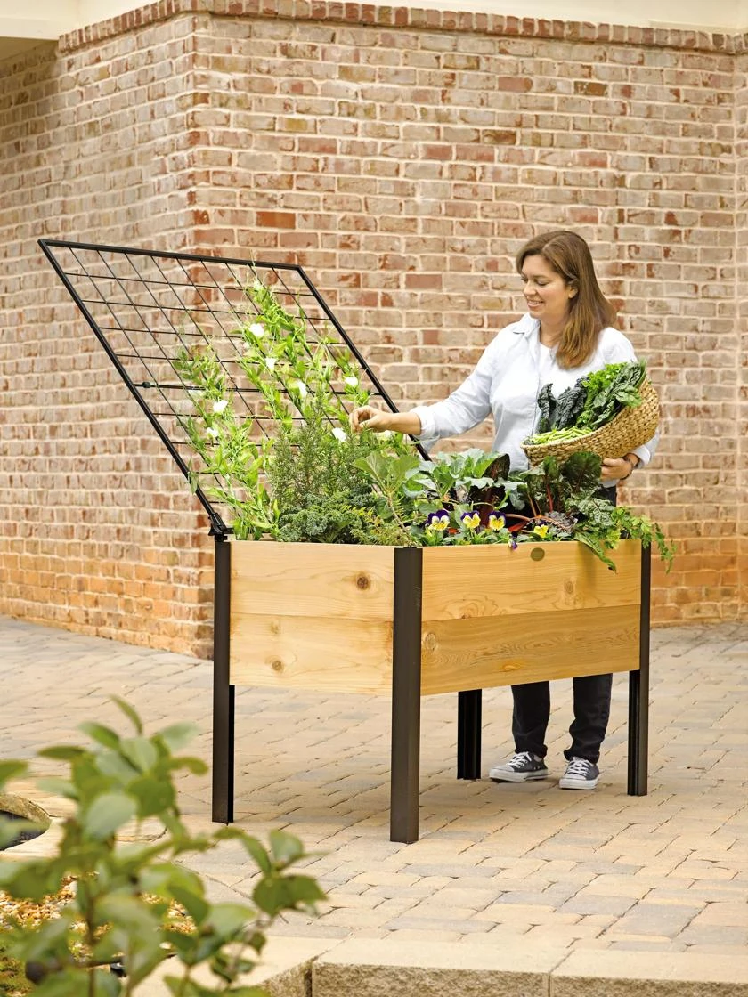 Elevated Planter Box And Space-Maker Pivoting Trellis Set, 2' X 4' 3 Elevated Planter Box And Space-Maker Pivoting Trellis Set, 2' X 4'