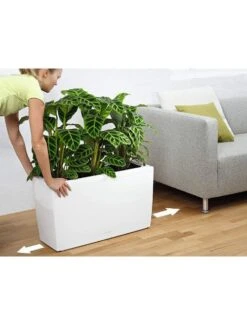 Lechuza® Cararo Rectangular Indoor Planter With Casters -Outdoor Garden Care 8590295 03v