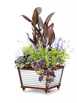 Galvanized Self-Watering Planters -Outdoor Garden Care 8592176 5067 tif