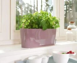 Lechuza® Delta Self-Watering Windowsill Planters -Outdoor Garden Care 8592361 01V tif