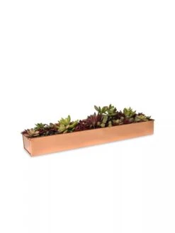 Rectangular Copper Plant Tray, 18"x4" 8 Rectangular Copper Plant Tray, 18"x4" -Outdoor Garden Care 8593532 2892 tif