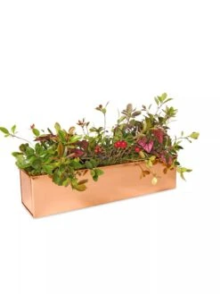 Tall Rectangular Copper Plant Tray, 18" X 5" X 4" -Outdoor Garden Care 8593534 2899 tif