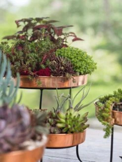 Small Round Copper Plant Tray, 10" -Outdoor Garden Care 8593564 4399 tif