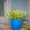 Viva Round Self-Watering Rolling Planter, 17.25” Diameter -Outdoor Garden Care 8594077 0087 tif