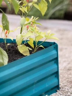 Demeter Corrugated Metal Raised Bed, 34" X 68" -Outdoor Garden Care 8594183 470 tif 1