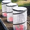 Tomato TLC Kits, Set Of 3 -Outdoor Garden Care 8594214 0183 tif