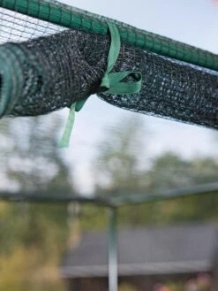 Pest-Free Garden 11 Pest-Free Garden -Outdoor Garden Care 8594283 0190 tif